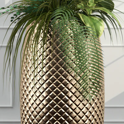 Room plants 11 — Ver 3