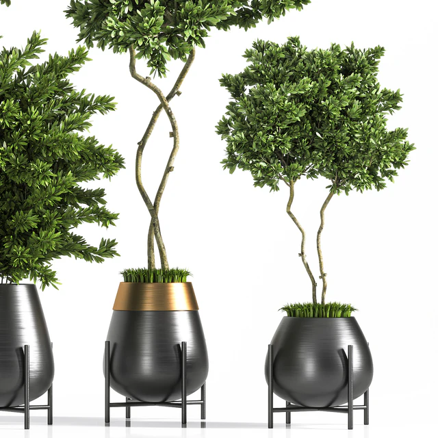 indoor plant set 01 — Скачать