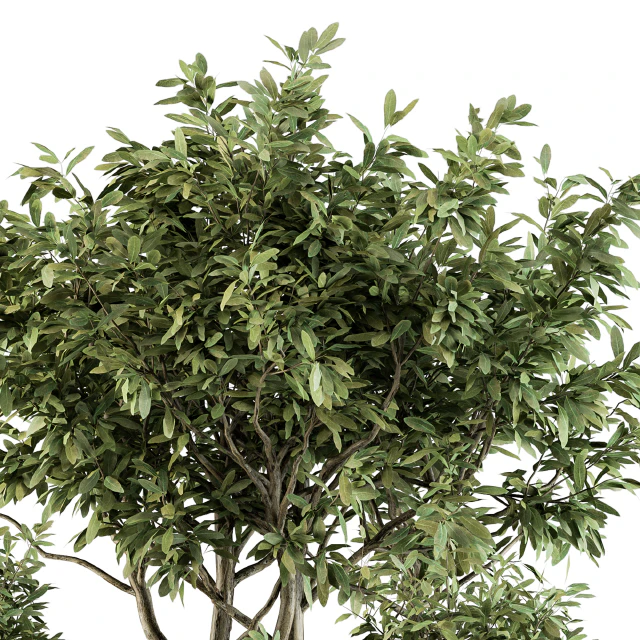 Outdoor Plant Set 276 - Plant Set in Metal Pot — Скачать