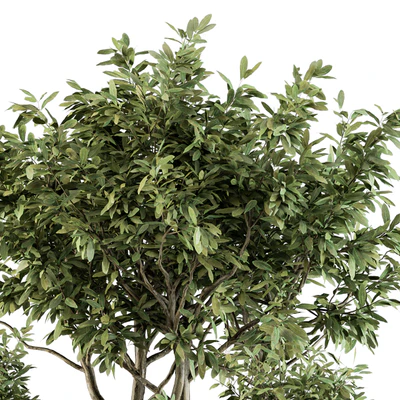 Outdoor Plant Set 276 - Plant Set in Metal Pot — Вид 3