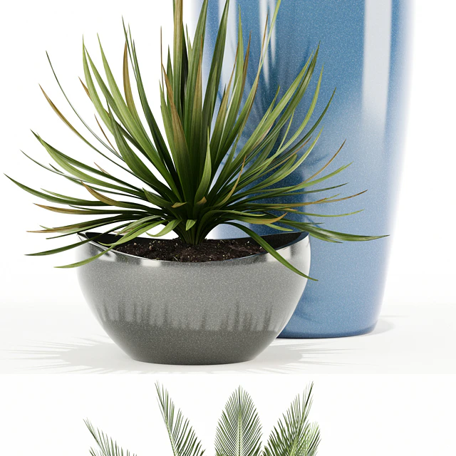 Plants collection 99 Awesomeplanters — Descargar