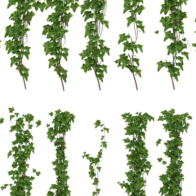 Wall of ivy leaves — Ver 2