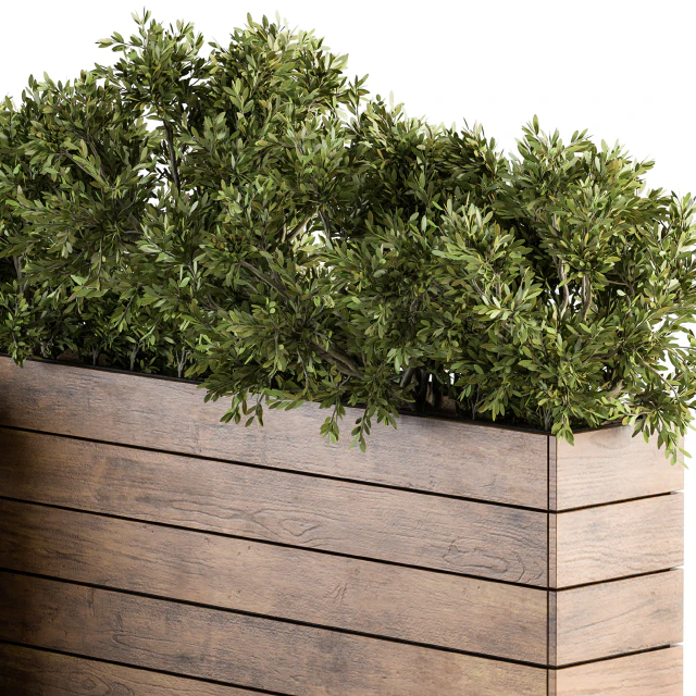 Outdoor Plants tree in Wood Box - Set 154 — Descargar