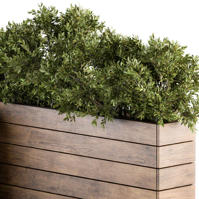 Outdoor Plants tree in Wood Box - Set 154 — Ver 2