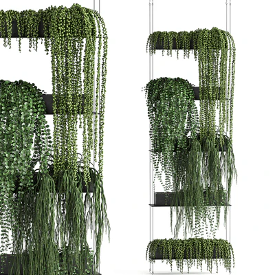 Vertical gardening Succulents, hanging plants, a black shelf, a Krestovnik, a phytostena, a phytomodule. Set 65 — скачать