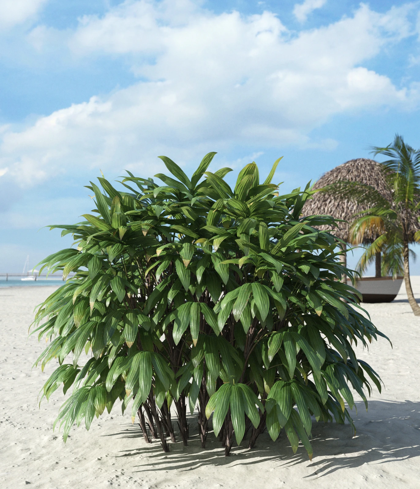 palm trees 028 — Descargar