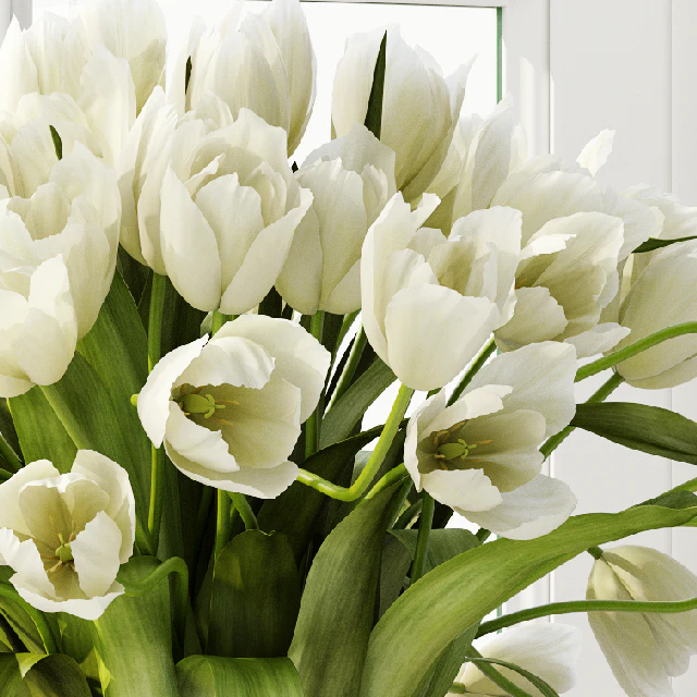 Tulips 3 — Скачать