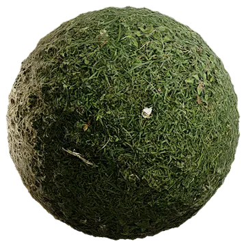 uncut grass 026 — Descargar