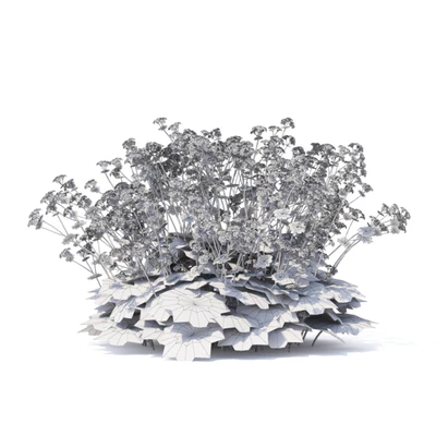 Soft flowers cuff | Alchemilla mollis 2 — View 2