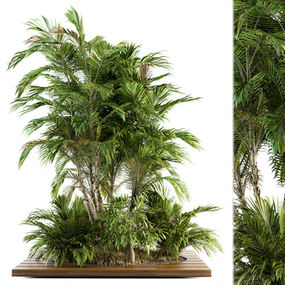 Garden set Tropical bush and Tree - Garden Set 05 — Вид 1