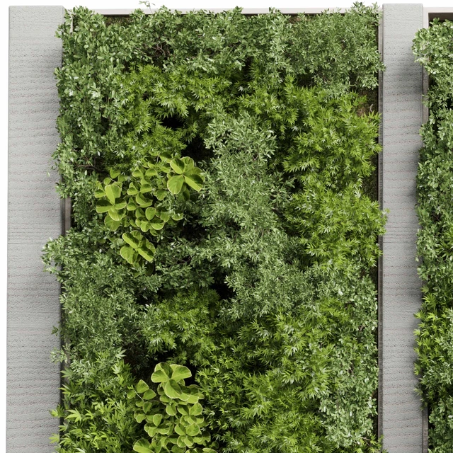 Concrete frame Vertical garden plant and moss garden wall decor box 66 — Descargar