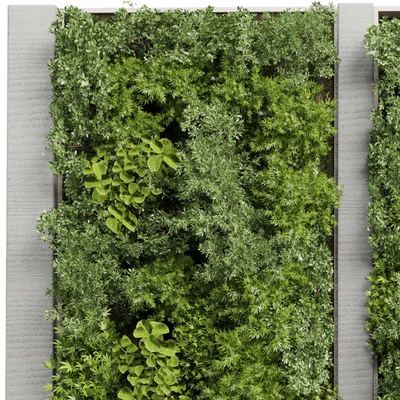 Concrete frame Vertical garden plant and moss garden wall decor box 66 — Ver 5
