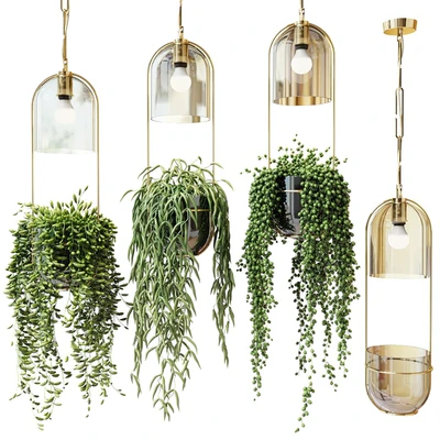 Ampel plants in hanging planters — Descargar