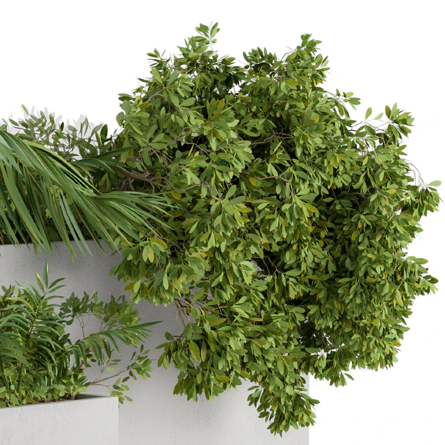 outdoor Plants Concrete Box - Set 45 — Скачать