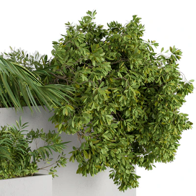 outdoor Plants Concrete Box - Set 45 — Вид 2