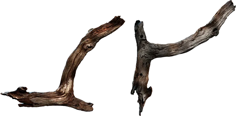 tree branch 018 — Descargar