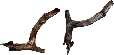 tree branch 018 — Descargar