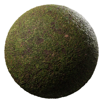 dirt forest 006 — Descargar