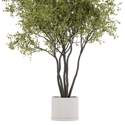 indoor plant set 31 — Ver 3