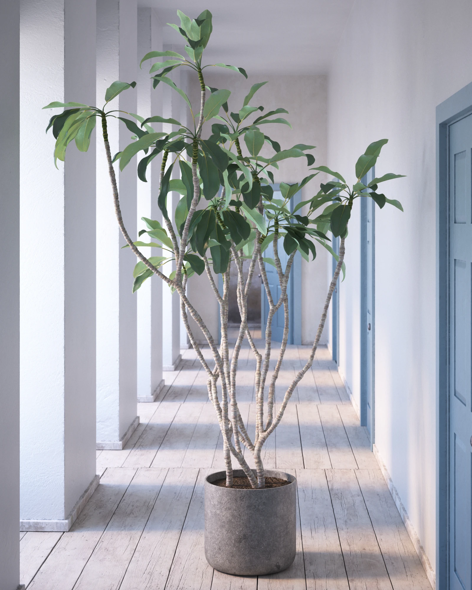 012 — Скачать