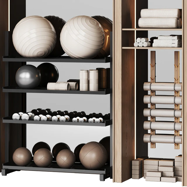 A wall with a rack for gym equipment — Descargar