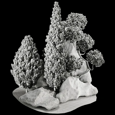 backyard and landscape pine tree garden and rocks 269 — View 4