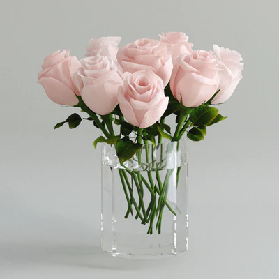 Light pink roses in a vase — Ver 1