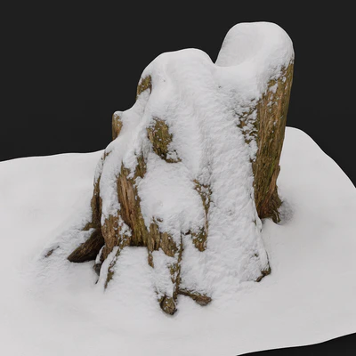 Stump under the snow — Ver 5