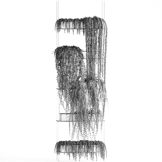 Вертикальное озеленение Суккуленты, свисающие растения, черная полка, Крестовник, фитостена, фитомодуль. Набор 65 — Скачать