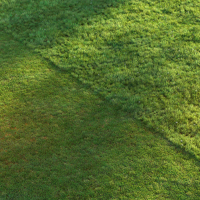 Sports turf — Descargar