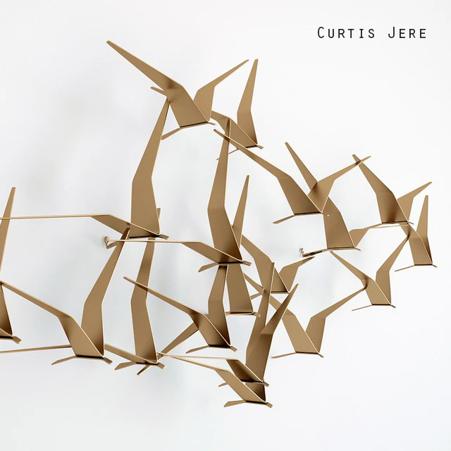Jere Birds — Descargar