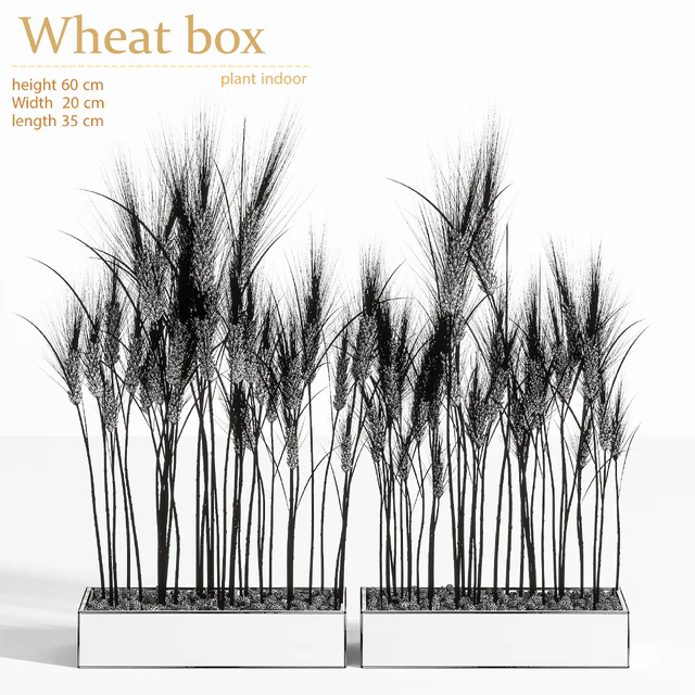 Wheat Box — Скачать