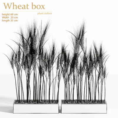 Wheat Box — Вид 3