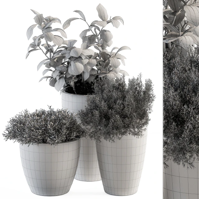indoor Plant Set 191 - Plant in pot — Descargar