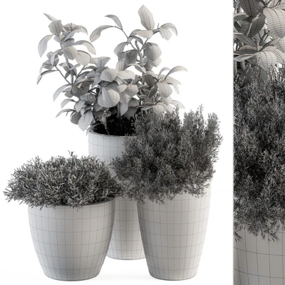 indoor Plant Set 191 - Plant in pot — Ver 2