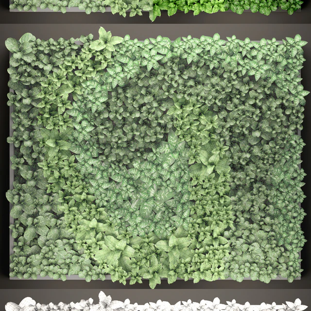 Vertical garden 14. vertical garden, green wall, phytomodule, eco design, picture of flowers, plants on the wall — Descargar