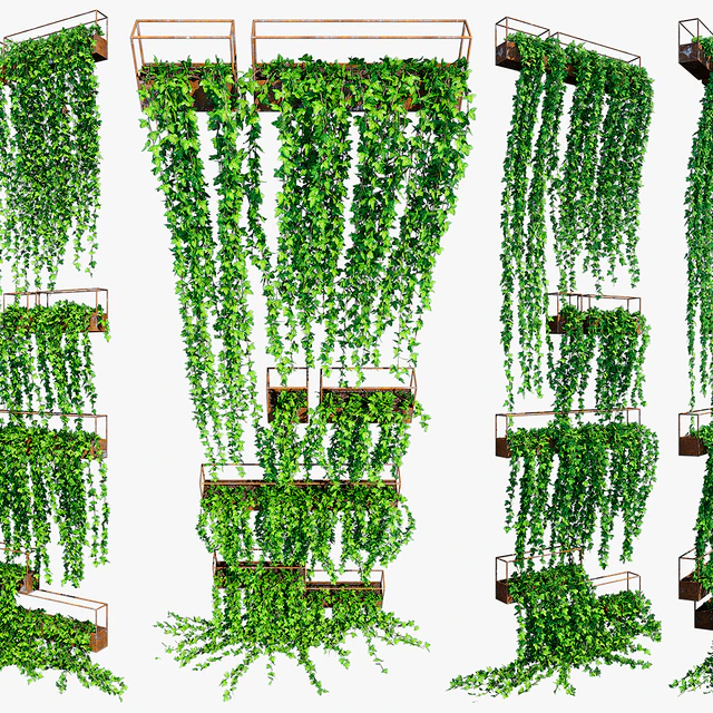 Planter box ivy 2 — Descargar