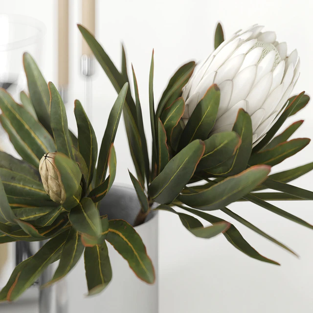 H&M HOME Chrome Decorative Set — Descargar