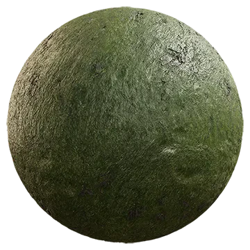 green seaweed 001 — Download