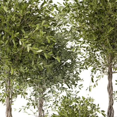 Indoor Plants in Ferm Living Bau Pot Large - Set 354 — Вид 4