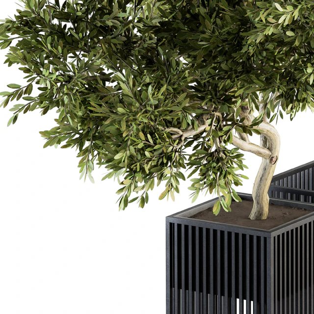 Outdoor Plants tree in Metal Pot - Set 134 — Descargar