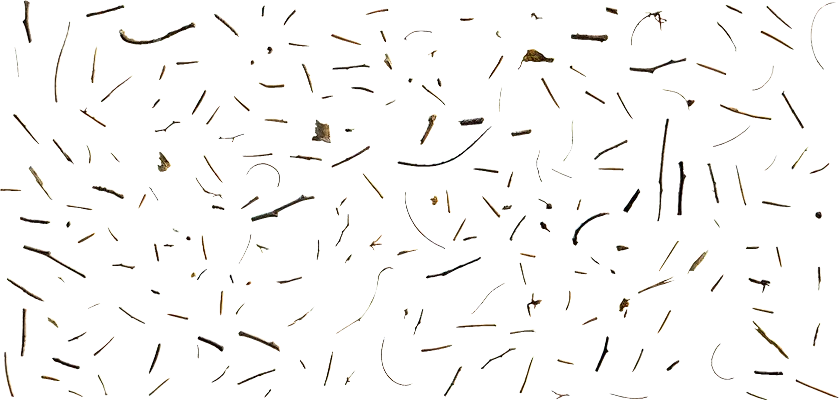 tiny debris 001 — Скачать