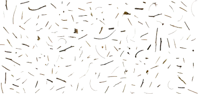 tiny debris 001 — Скачать