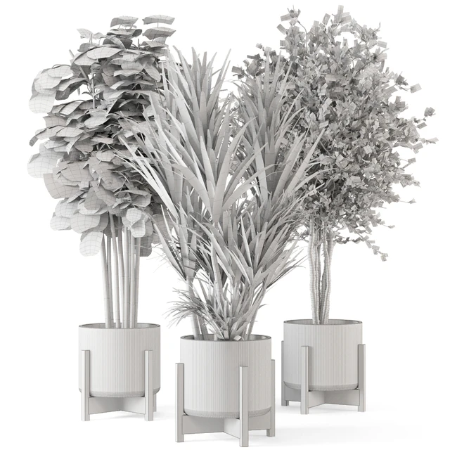 Indoor Plants in Combination of wood & concrete Pot - Set 723 — Скачать