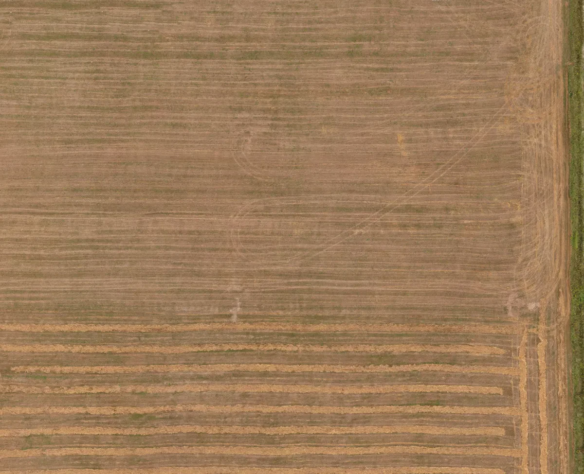 field summer 047 — Descargar