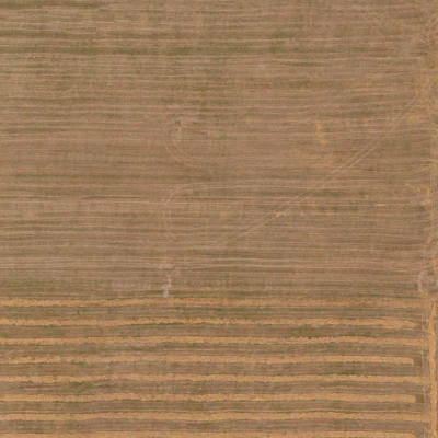 field summer 047 — Descargar