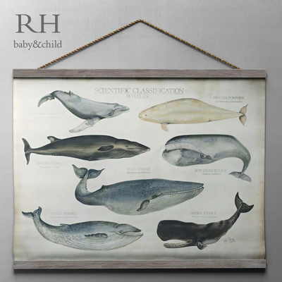 RH / SCIENTIFIC WHALE TAPESTRY — Ver 1