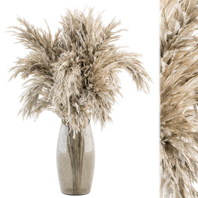 Dry plants 47 - Dried Plant Pampas Bouquet — Вид 1