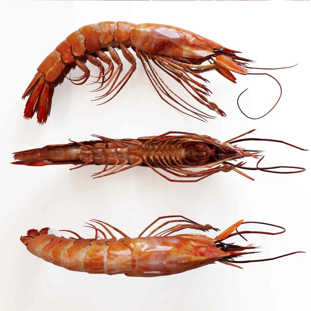 shrimp dish — Скачать