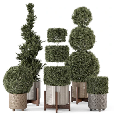 Outdoor Pine Plants  in Concrete Pot - Set 522 — Вид 1